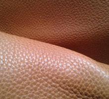 Textile and Leather